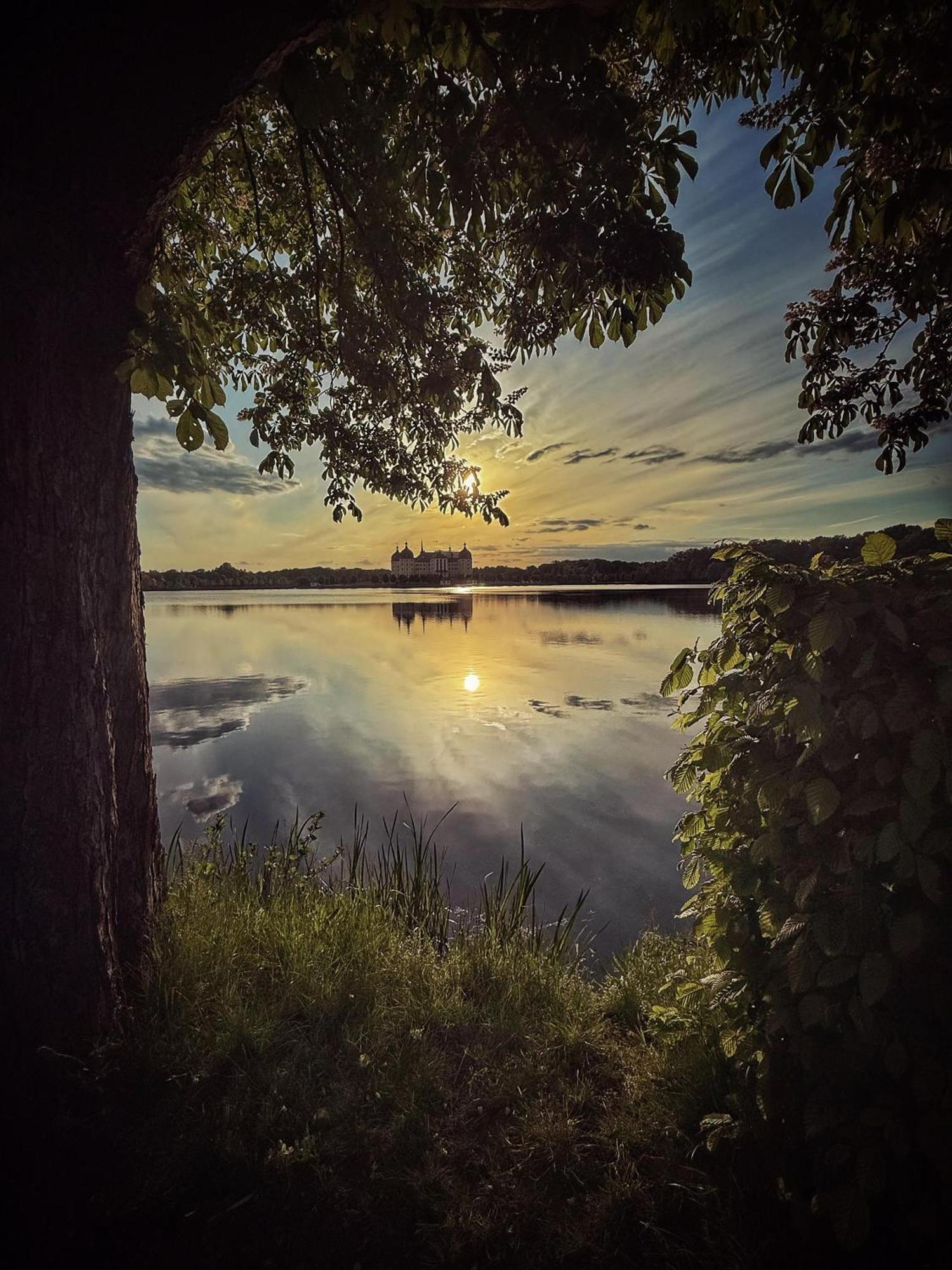 Churfuerstliche Waldschaenke Moritzburg Esterno foto